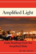 Cover: The Amplified Light - Xlibris
