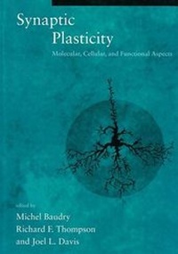 Enlarge image Cover: Synaptic Plasticity - Bradford Books