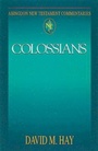 Cover: Abingdon New Testament Commentaries: Colossians - Abingdon Press