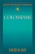 Cover: Abingdon New Testament Commentaries: Colossians - Abingdon Press