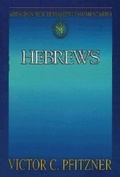 Cover: Abingdon New Testament Commentaries: Hebrews - Abingdon Press