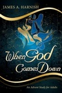 Cover: When God Comes Down - Abingdon Press