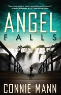 Cover: Angel Falls - Abingdon Press