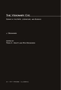 Enlarge image Cover: The Visionary Eye - MIT Press