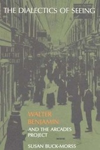 Enlarge image Cover: The Dialectics of Seeing - MIT Press