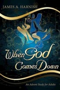 Cover: When God Comes Down - Abingdon Press