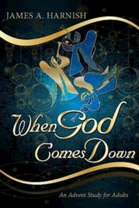 Enlarge image Cover: When God Comes Down - Abingdon Press