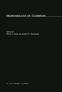 Abbildung von: Neurobiology of Cognition - MIT Press