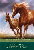 Cover: Stormy, Misty's Foal - Aladdin