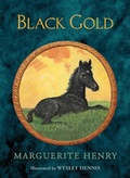 Cover: Black Gold - Aladdin