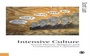 Cover: Intensive Culture - SAGE Publications Ltd