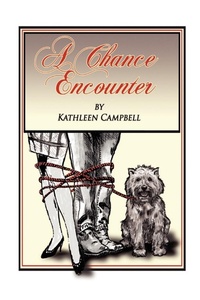 Enlarge image Cover: A Chance Encounter - Trafford Publishing