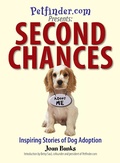 Cover: Second Chances - Adams Media