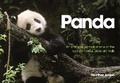 Cover: Panda - David & Charles