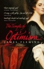 Cover: The Temple of Optimism - Vintage Digital