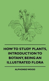Abbildung von: How To Study Plants, Introduction To Botany, Being An Illustrated Flora - Read Books
