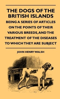 Abbildung von: The Dogs Of The British Islands - Being A Series Of Articles On The Points Of Their Various Breeds, And The Treatment Of The Diseases To Which They Are Subject - Read Books