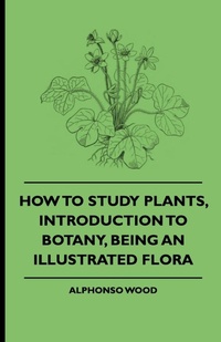 Abbildung von: How To Study Plants, Introduction To Botany, Being An Illustrated Flora - Read Books