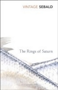 Abbildung von: The Rings of Saturn - Vintage Digital
