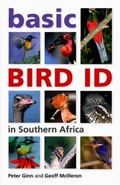 Cover: Basic Bird ID in Southern Africa - Struik Nature