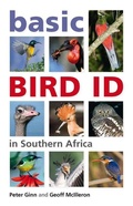 Cover: Basic Bird ID in Southern Africa - Struik Nature