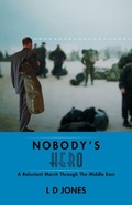 Cover: Nobody's Hero - Trafford Publishing