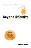 Cover: Beyond Effective - Trafford Publishing