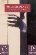 Cover: In A Rare Time Of Rain - Vintage Digital