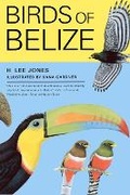 Cover: Birds of Belize - University of Texas Press