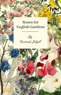 Abbildung von: Roses For English Gardens - Read Books