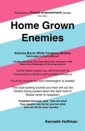 Cover: Home Grown Enemies - Trafford Publishing