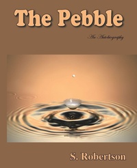 Enlarge image Cover: The Pebble - Trafford Publishing