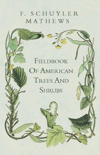 Abbildung von: Fieldbook Of American Trees And Shrubs - Read Books