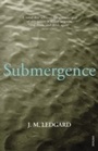 Cover: Submergence - Vintage Digital