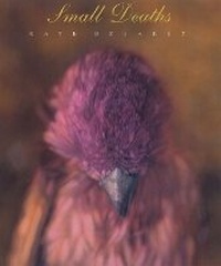 Enlarge image Cover: Small Deaths - University of Texas Press