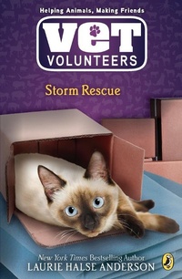 Enlarge image Cover: Storm Rescue - Puffin Books