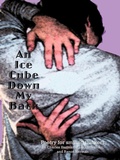 Cover: An Ice Cube Down My Back - AuthorHouse