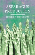Cover: Asparagus Production - Read Books