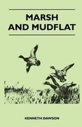 Cover: Marsh and Mudflat - Read Books