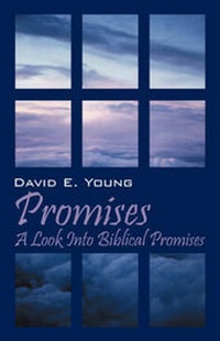 Enlarge image Cover: Promises - Outskirts Press
