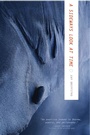 Cover: A Sideways Look at Time - TarcherPerigee