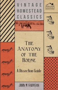 Abbildung von: The Anatomy of the Horse - A Dissection Guide - Read Books