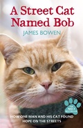 Cover: A Street Cat Named Bob - Hodder Paperback