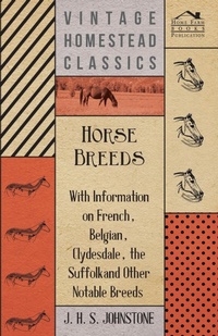 Abbildung von: Horse Breeds - With Information on French, Belgian, Clydesdale, the Suffolk and Other Notable Breeds - Read Books