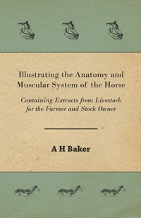 Abbildung von: Illustrating the Anatomy and Muscular System of the Horse - Containing Extracts from Livestock for the Farmer and Stock Owner - Read Books