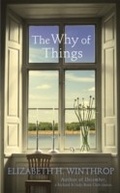 Cover: The Why of Things - Two Roads
