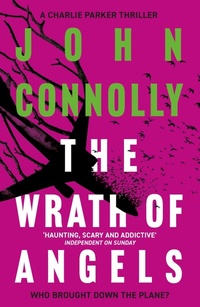 Enlarge image Cover: The Wrath of Angels - Hodder Paperback