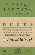 Cover: Ducks - Breeding, Rearing and Management - Read Books