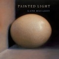 Cover: Painted Light - University of Texas Press