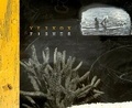 Cover: Vernon Fisher - University of Texas Press